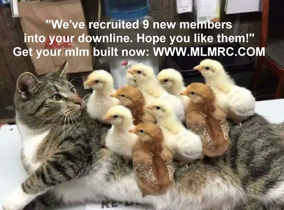 mlm-cat